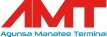 AMT