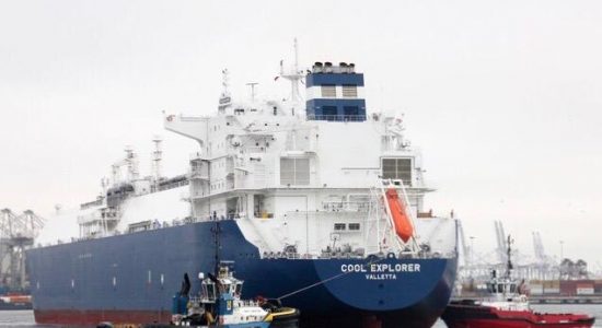 Agente protector de thenamaris