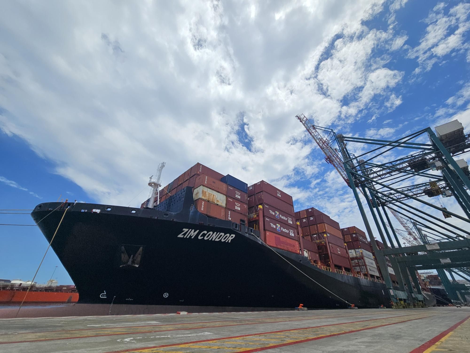 Cherries Bound for China: A New Season Begins with ZIM