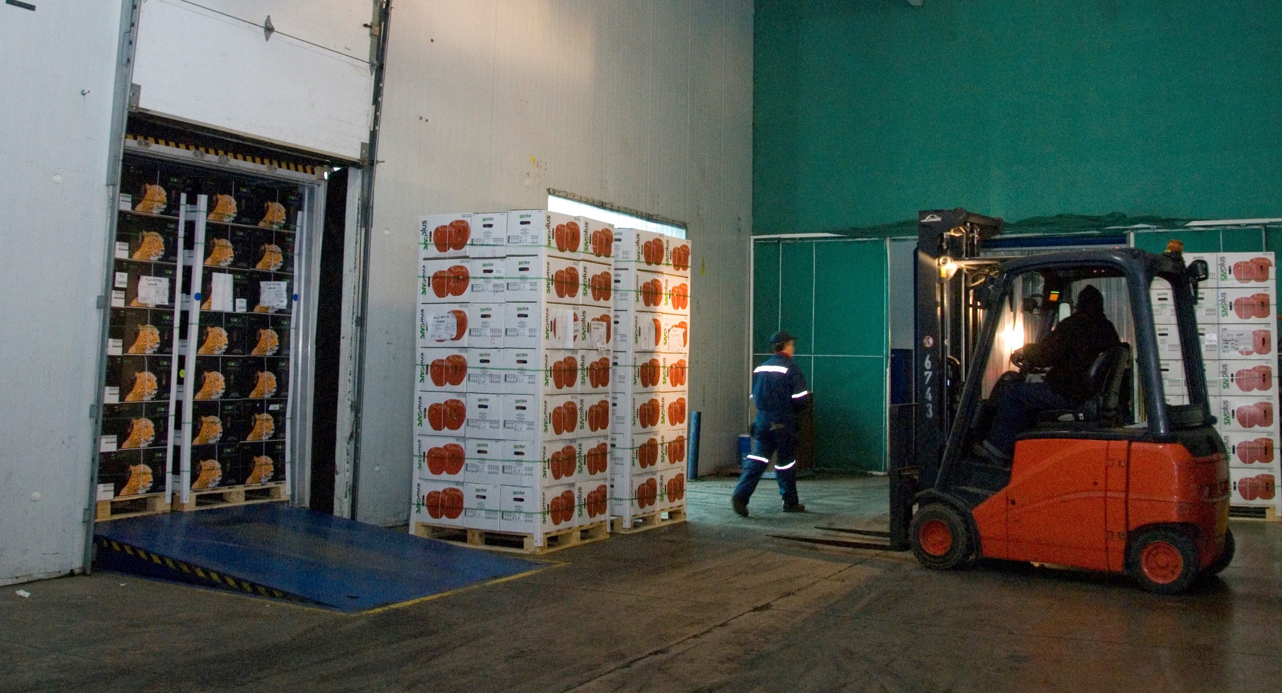 Servicio integrado de AGUNSA en temporada reffer.