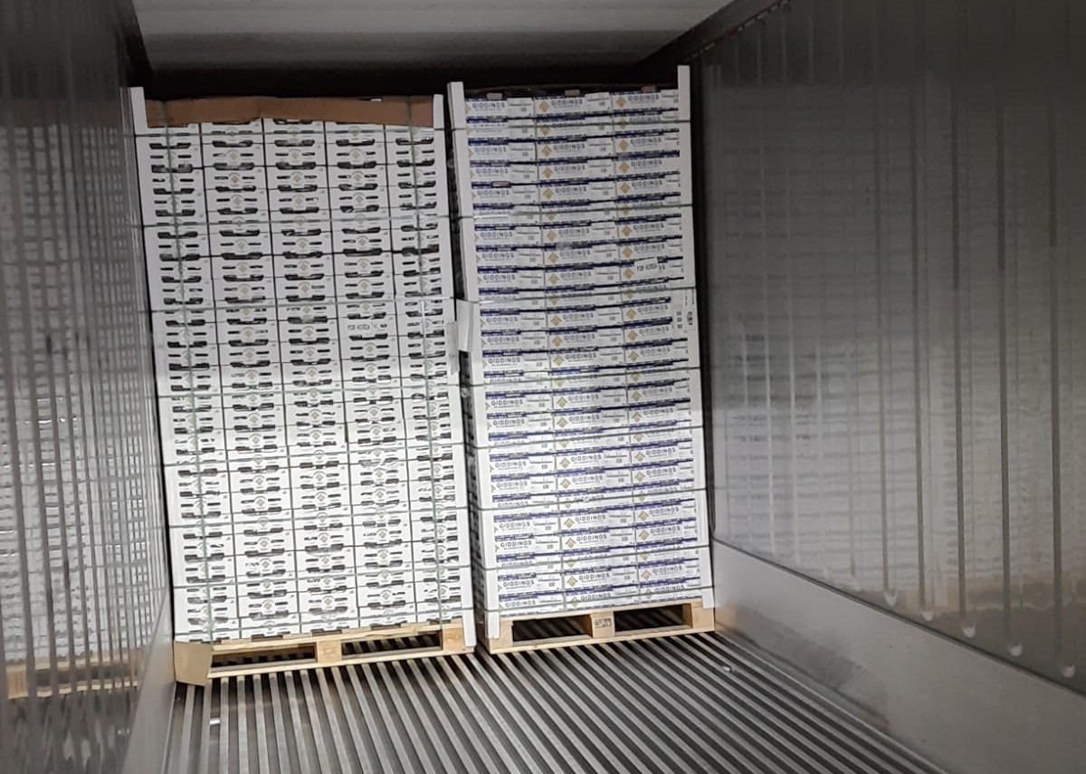 AGUNSA Logistics inicia temporada de exportaciones.